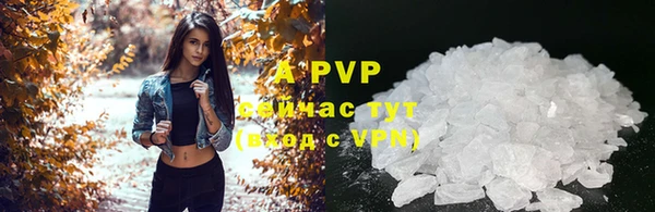 гидра Володарск