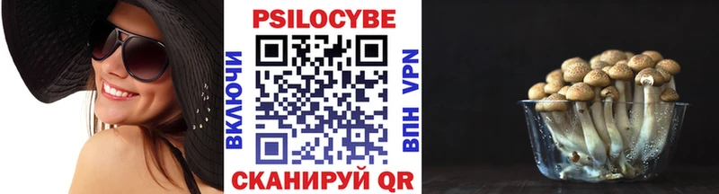 Псилоцибиновые грибы Psilocybine cubensis  Первоуральск 